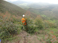 /album/galeria-de-fotos/dsc00306-jpg/