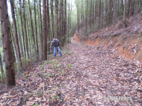 /album/galeria-de-fotos/sam-0725-jpg/