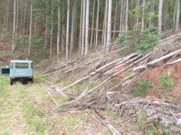 /album/galeria-de-fotos/sam-2567-jpg/