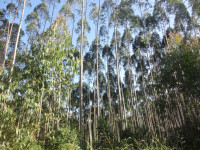 /album/galeria-de-fotos/dsc01078-jpg/